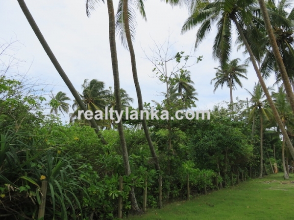 38M Beachfront Property In Balapitiya