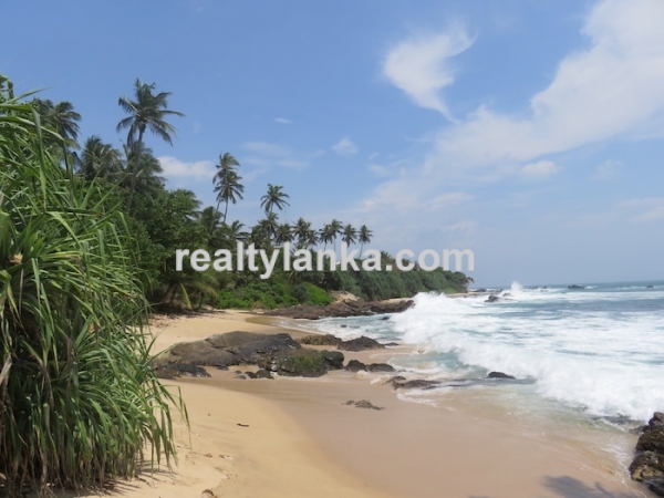 Coco Tangalle