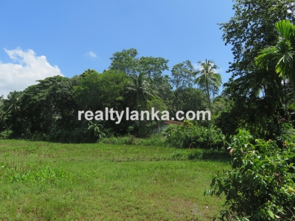 A Small Colonial House With Paddy View