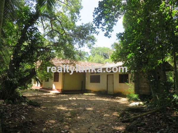 A Small Colonial House With Paddy View