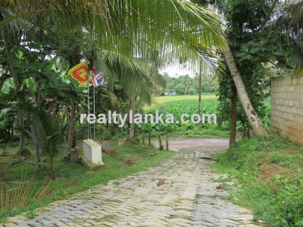 Property With A Paddy View