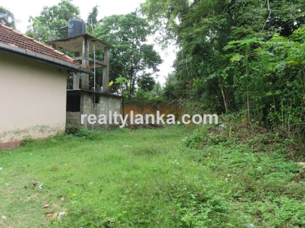 Property With A Paddy View