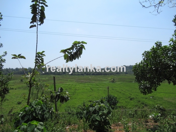Elevated Property with a Paddy View