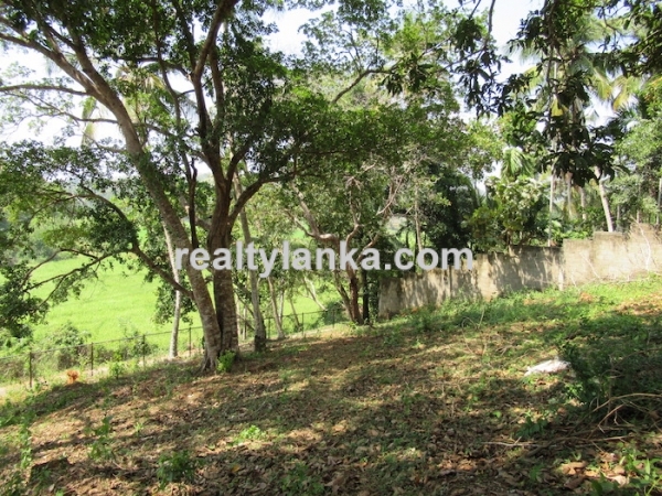 Elevated Property with a Paddy View