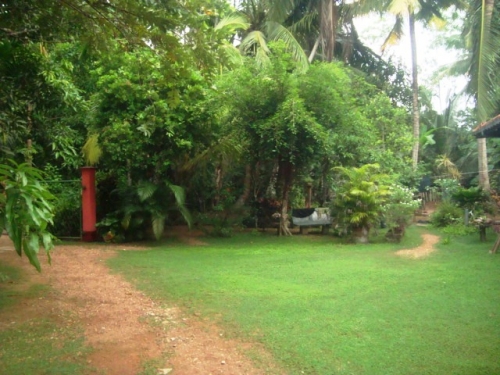 Gorgeous property close to the beach