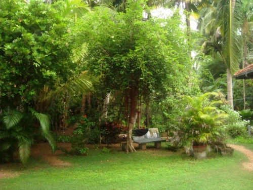Gorgeous property close to the beach