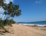Large portion of beachfront land BB 39