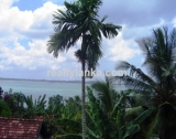 WB 06 - Land With breathtaking views of the Weligama Bay