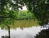 Peaceful Relaxing River Front Property GI 151